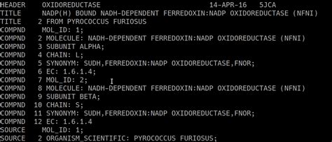PDB File Type 的图像结果