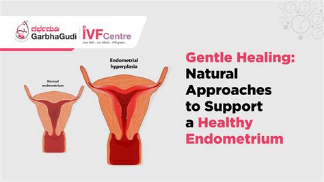 How to Reduce Endometrial Thickness Naturally? GarbhaGudi