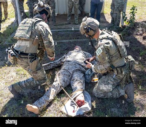 U.S. Air Force Tactical Air Control Party specialists from the 18th Air ...