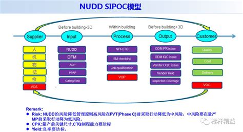SIPOC Tutorial 的图像结果