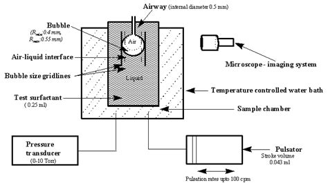 Surfactant therapy for respiratory distress syndromes