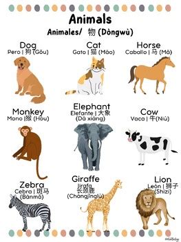 Image result for Language Master Animals