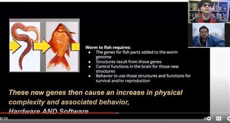 Image result for Evolution Problems Documentary