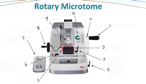 Image result for Microtome Tutorial