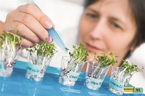 Modern Biotechnology 的图像结果