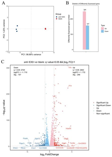 Pharmaceutics | An Open Access Journal from MDPI