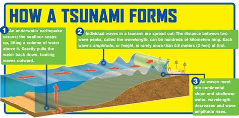 Formation - The Physics of Tsunamis: How is a tsunami formed?
