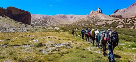 Dzo Jongo: The Ultimate Offbeat Adventure