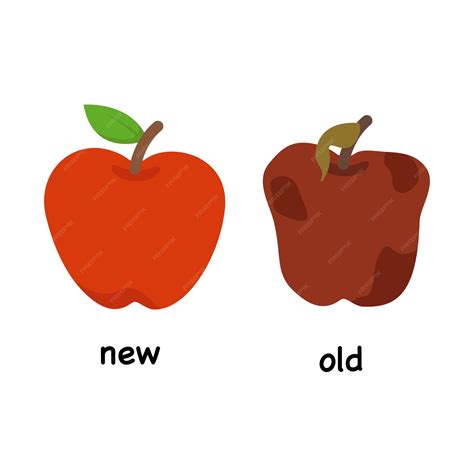 Opposite words new and old vector illustration | Premium Vector