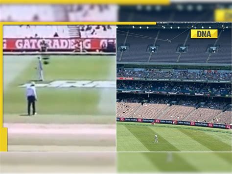 AUS vs SA 2nd Test: Anrich Nortje gets clattered by spider-cam in ...