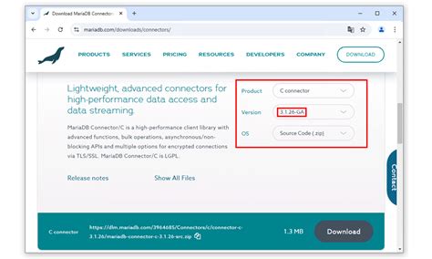 Packet Recorder - Kompilierung unter Windows