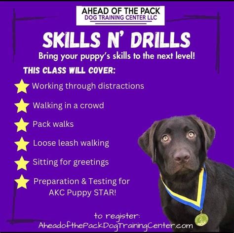 New Class Begins, Ahead Of The Pack Dog Training Center, LLC, Fishkill ...