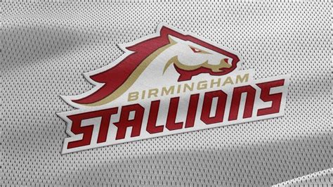 Birmingham Stallions Become First Team to Secure Spot in UFL Conference ...
