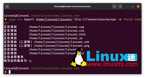 CollabNet Subversion Features 的图像结果