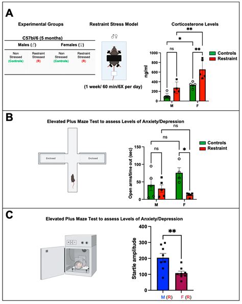Exposure to Stress Alters Cardiac Gene Expression and Exacerbates ...