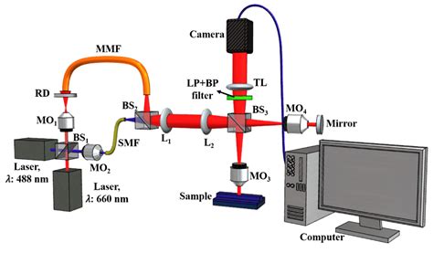 Characterization of Liposomes Using Quantitative Phase Microscopy (QPM)