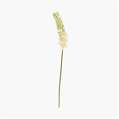 Buy Botanical Eremurus Artificial Flower from Home Centre at just INR 399.0