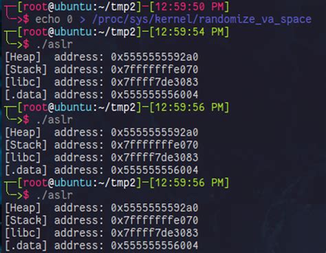 Image result for BL2 Keyboard Buffer Overflow