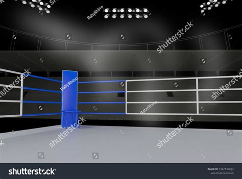 Boxing Field 的图像结果