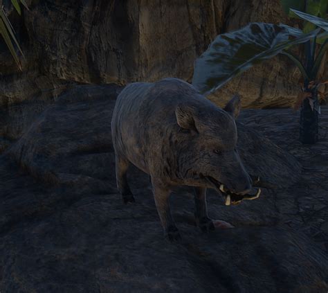 Image result for All Animals in Stranded Deep