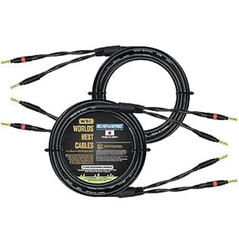 WORLDS BEST CABLES 10 Foot - Canare 4S11 – Audiophile Grade - HiFi Star ...