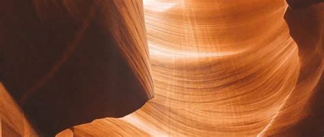 Litman Technology Vector 的图像结果