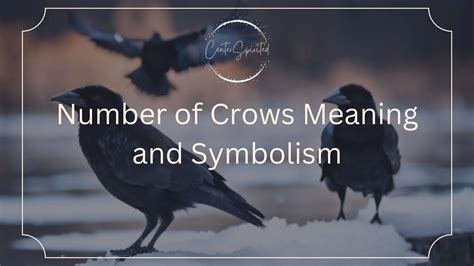 What Does 5 Crows Symbolize at Susan Tucker blog