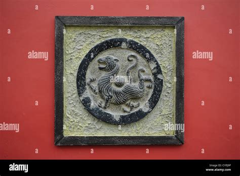 Image result for Ancient Tiger Shell