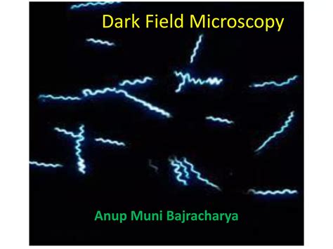 Dark field microscopy | PDF
