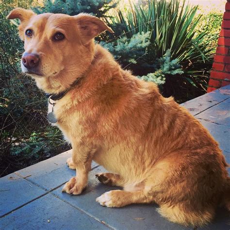 @alisonmkirby on Instagram: "Not pleased about bath time today # ...