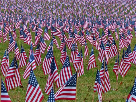 Free Images : people, flower, crowd, usa, national, american, flags ...