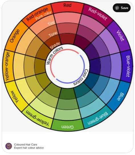 Image result for Color Wheel Lesson Tutorial Hair