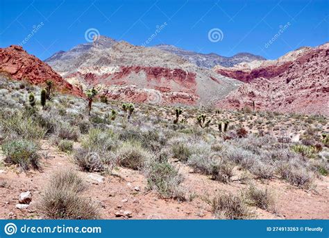 Calico Basin, Red Rock Conservation Area, Southern Nevada, USA Stock ...