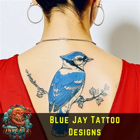 Feathers of Freedom: Exploring the Symbolism and Beauty of Blue Jay ...