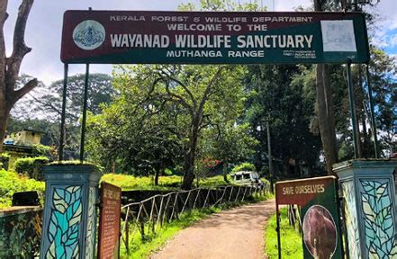 Wayanad Wildlife Sanctuary, Wayanad Safari Booking