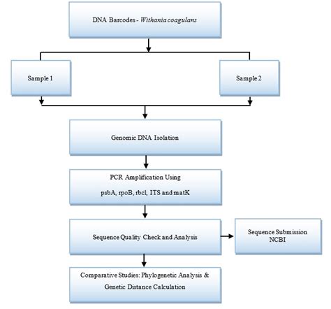 Image result for DNA Barcoding Graphical Abstract