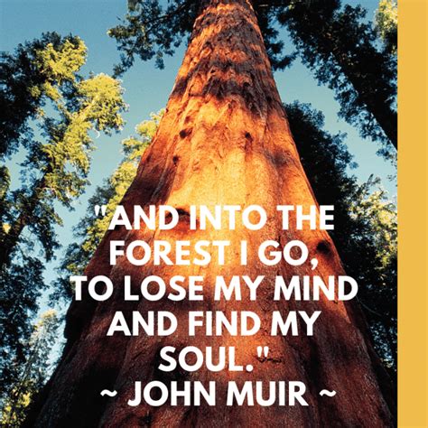 Wilderness Wanderings: John Muir's Profound Church of Nature
