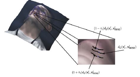 Local Optimization 的图像结果