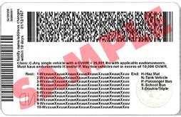 Image result for Bar Code Driving License Back Part Number
