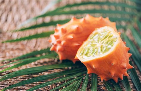 Exotic fruits with high nutritional value available in India