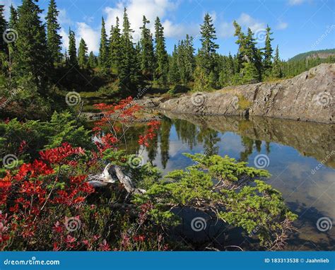 Strathcona Provincial Park, Vancouver Island, Fall Foliage at Lake ...