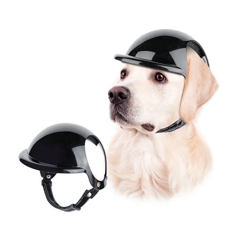 Motorcycle Helmet For Dogs Dog Spotted Riding Motorcycle, Wearing