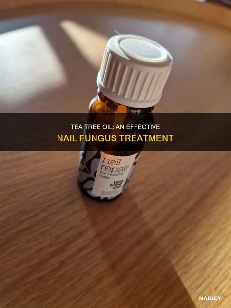 Tea Tree Oil: An Effective Nail Fungus Treatment | Nailicy