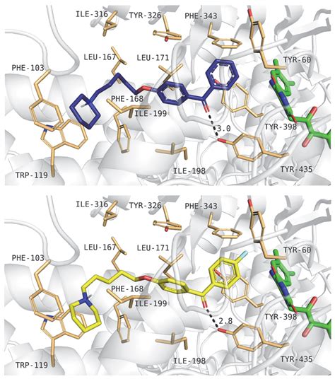 Benzophenone Derivatives with Histamine H3 Receptor Affinity and ...