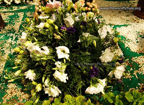 Bangalore Lalbagh Flower Show January 2013: 4