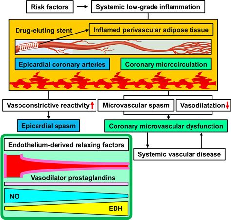 Coronary Microvascular Dysfunction | Arteriosclerosis, Thrombosis, and Vascular Biology