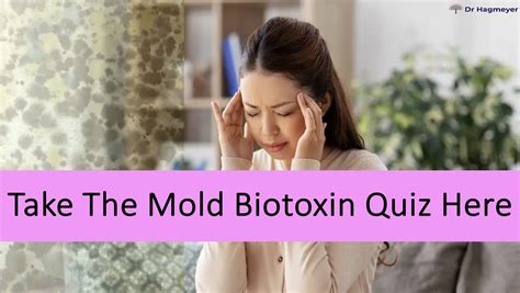 Mold Allergy VS Mycotoxin Toxicity- Is There A Difference? | 15 minute Discovery Call With Dr ...