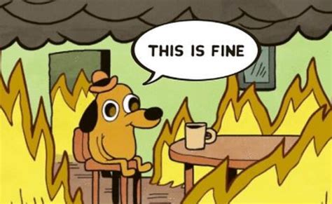 This Is Fine GIFs | Tenor | This is fine dog, Memes, I'm fine meme