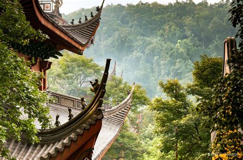 2020回眸｜杭州灵隐寺建设生态寺院 推动绿色发展 ⑫