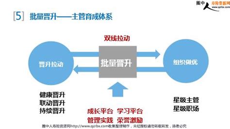 建立保险团队增员系统PPT模板下载_编号qodembrw_熊猫办公